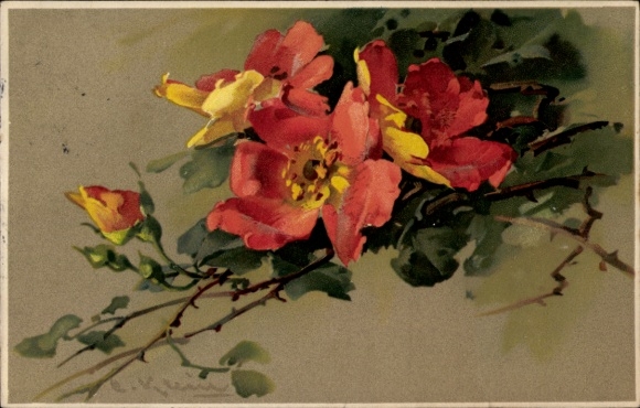 Künstler Litho Klein, Catharina, Wildrosen Zweig, Meissner & Buch 1391