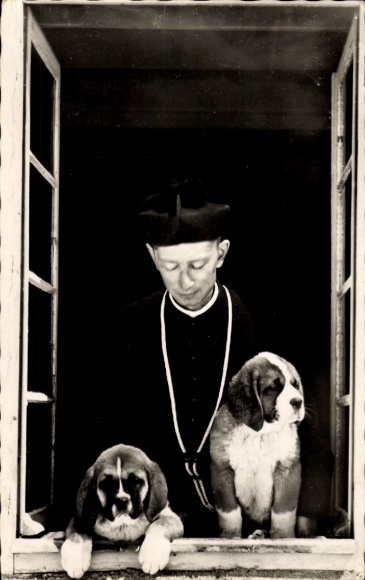 Ak Kanton Wallis, Hospice du Grand St-Bernard, Bernhardiner