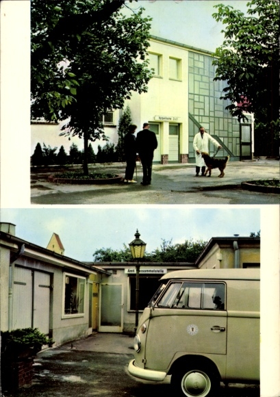 Ak Lankwitz Berlin, Tierschutzheim Dessauer Straße 21-27, Katzenheim