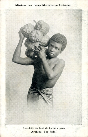 Ak Fidschi, Missionen der Maristenväter, Früchte vom Brotfruchtbaum pflücken