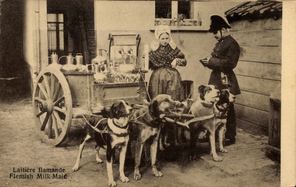 Ak Antwerpen, Milchmädchen, Polizist, Hundekarren