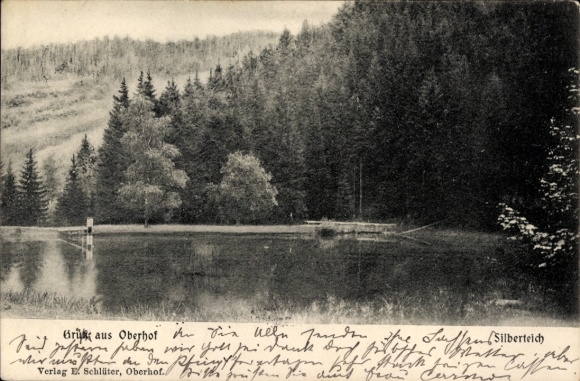 Ak Oberhof im Thüringer Wald, Grüße aus  Waldlandschaft, See, Verlag E. Schlüter