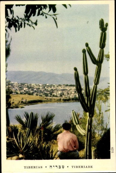 Ak Tiberias Israel, Durchblick zum Ort, Kakteen