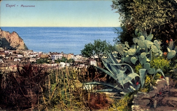 Ak Capri Neapel Campania, Panorama von  Meerblick, grüne Pflanzen, Stadtansicht