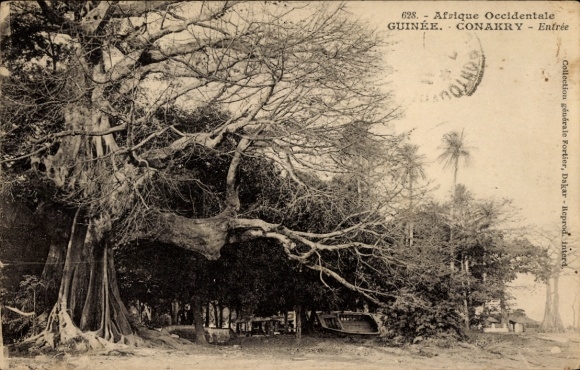 Ak Conakry Guinea, Eingang zum Baumdorf