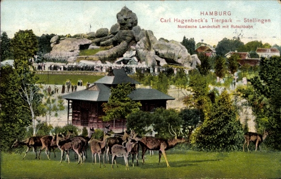 Ak Hamburg Eimsbüttel Stellingen, Carl Hagenbecks Tierpark, Nordische Landschaft mit Rutschbahn