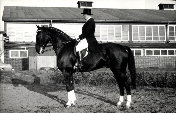 Foto Ak Dressurreiten, Reiter