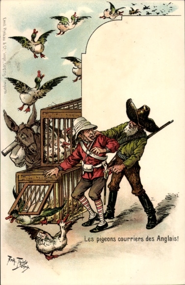 Künstler Litho Thiele,Arthur,Südafrika, Burenkrieg, Anti England, Taubenpost, Enten, Esel, Karikatur