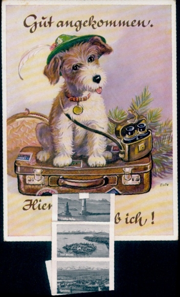 Leporello Ak Langenargen am Bodensee, Lindau, Panorama, Hafen