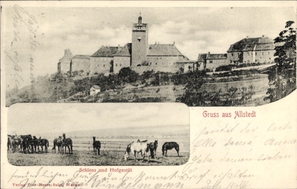 Ak Allstedt in Sachsen Anhalt, Schloss und Hofgestüt