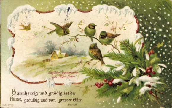 Ak Glückwunsch Neujahr, Vögel, Stechpalme, Bibelzitat, Barmherzig und gnädig ist der...