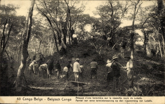 Ganzsachen CPA RD Congo Zaïre, Attaque d'une termitière