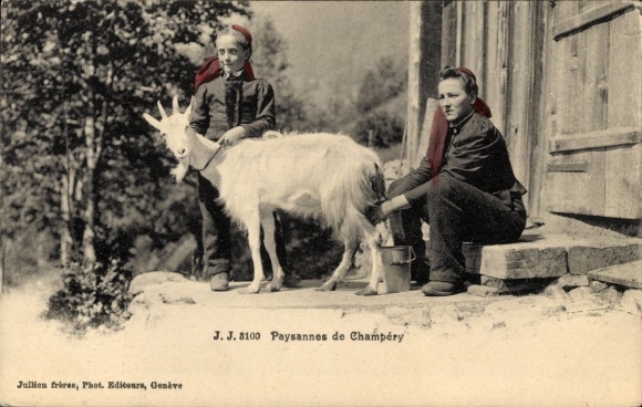 Ak Champéry Kanton Wallis, Bäuerin melkt eine Ziege, Schweizerische Tracht