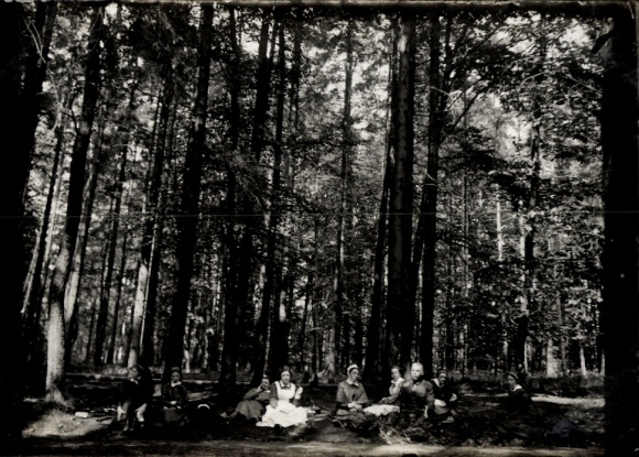 Foto Ak Gliwice Gleiwitz Oberschlesien, Schwestern d. niederländischen Ambulanz, Wald, Mai 1917 1.WK