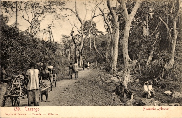 Ak Cazengo Angola, Fazenda Hocco