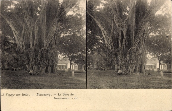 Stereo Ak Buitenzorg Bogor Java Indonesien, Parc du Gouverneur