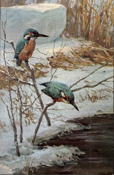 6 Künstler AK im Umschlag von Hans Schmidt, Gefiederte Freunde