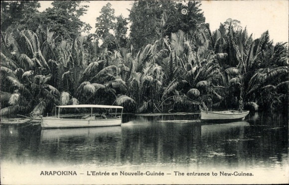Ak Arapokina Papua Neuguinea, Boote, Palmen