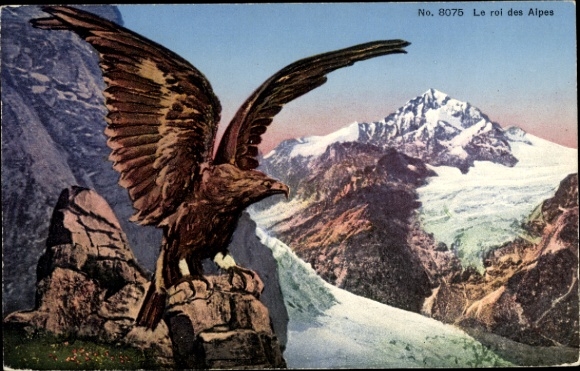 Ak Adler, König der Alpen, Gebirge