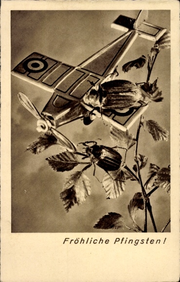 Ak Glückwunsch Pfingsten, Maikäfer, Laubblätter, Militärflugzeug