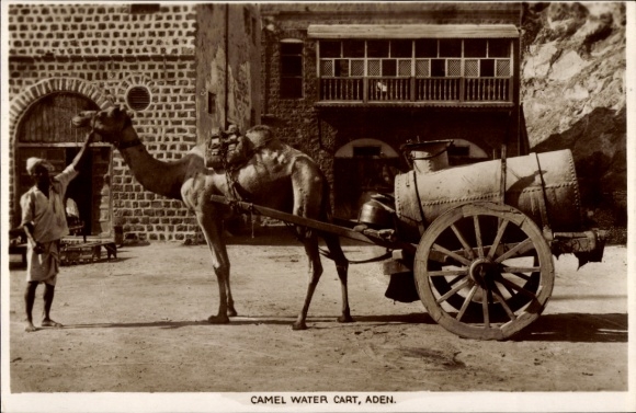 Ak Aden Jemen, Camel Water Cart