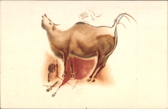 Ak Santander Kantabrien Spanien, Bison, Höhlen von Altamira, prähistorische Wandmalerei