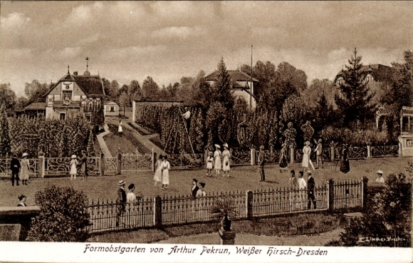 Ak Dresden Weißer Hirsch, Formobstgarten von Arthur Pekrun