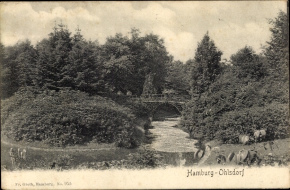 Ak Hamburg Nord Ohlsdorf, Park