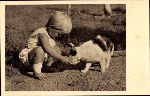 Ak Wien 9. Alsergrund, Österreichischer Tierschutzverein, Sensengasse 5, Kind, Katze