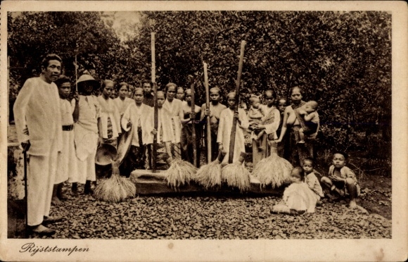 Ak Reisstampfer in niederländischer Kolonie