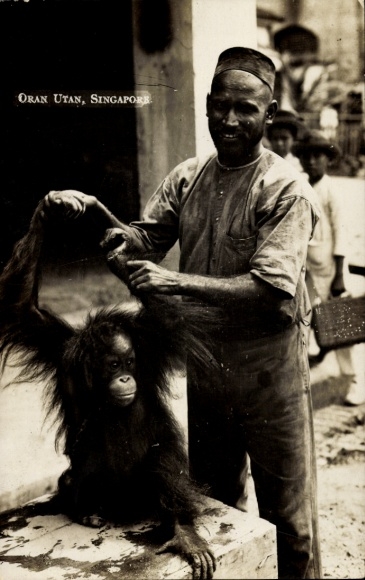 Ak Singapur, Mann und Orang Utan