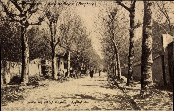 Ak Konstantinopel Istanbul Türkei, Bois de Beycos