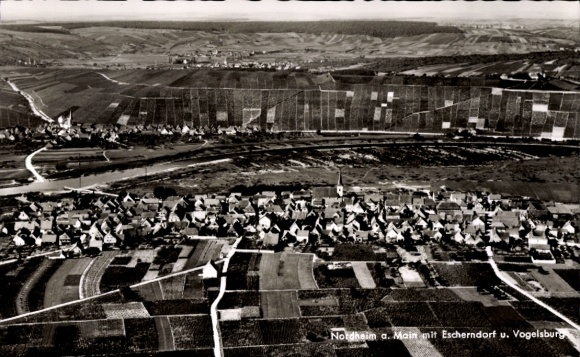 Ak Nordheim am Main Unterfranken, Luftaufnahme von  Escherndorf, Vogelsburg, Weinberge