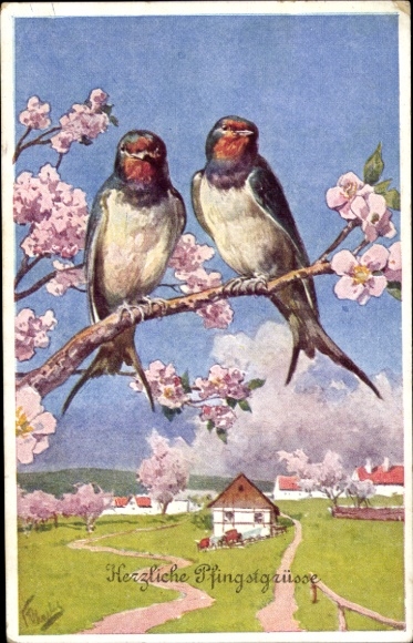 Künstler Ak Pfingsten, Vögel