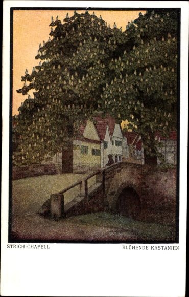Künstler Ak Strich-Chapell, Blühende Kastanien