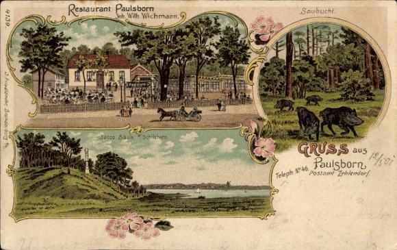 Litho Berlin Zehlendorf Dahlem, Restaurant Paulsborn, Inh. Wilh. Wichmann, Saubucht