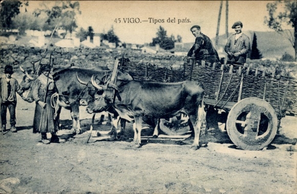 Ak Vigo Galicien Spanien, Männer und Ochsengespann auf einer Landstraße