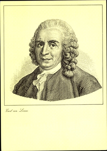 Künstler Ak Naturforscher Carl von Linne, Portrait