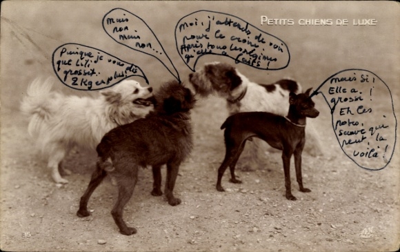 Ak Hunde, Petits Chiens de Luxe