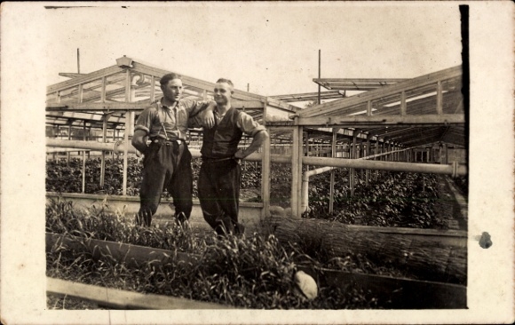 Foto Ak Berlin Pankow Heinersdorf, Straße Nr. 19, Gärtnerei, Gewächshäuser