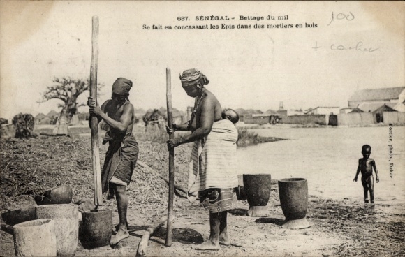 Ak Senegal, einheimische Frauen dräschen Hirse