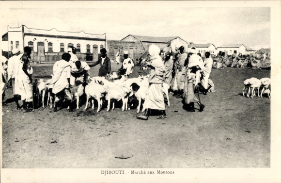 Ak Djibouti Dschibuti, Markt mit Schafen, Menschen in traditioneller Kleidung, Djibouti