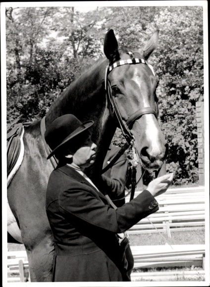 Foto Pferdesport, Pferd mit Reiter, Portrait