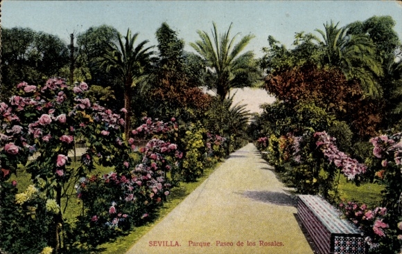 Ak Sevilla Andalusien, Blühende Rosen, Palmen, Weg im Park, Sevilla