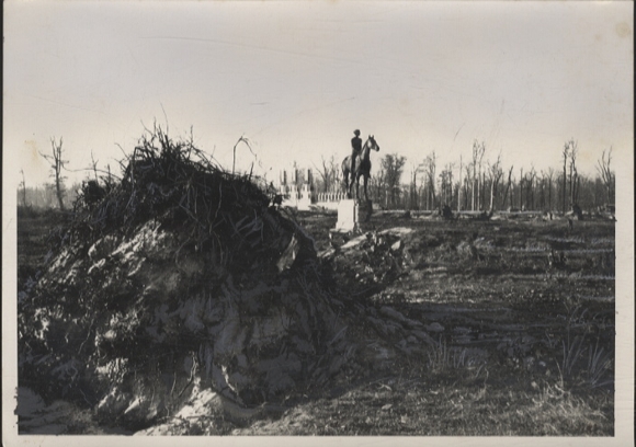 Original Foto Berlin Tiergarten, im Tiergarten und Botschaftsviertel, um 1946