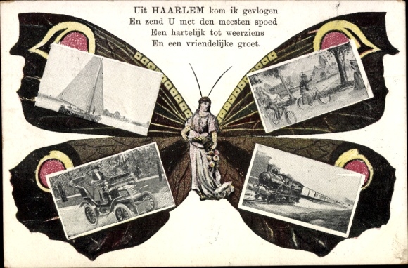 Schmetterling Ak Haarlem Nordholland Niederlande, Segelboot, Fahrrad, Automobil, Dampflokomotive