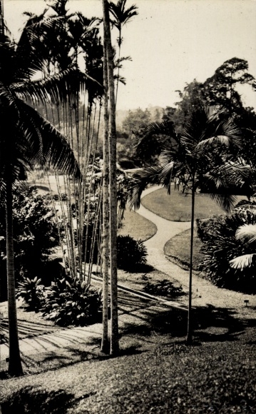 Ak Malaysia, Parkanlagen