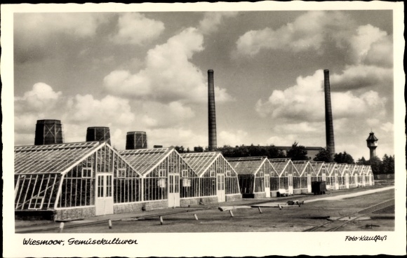 Ak Wiesmoor Ostfriesland, Großgärtnerei, Gemüsekulturen, Schornsteine
