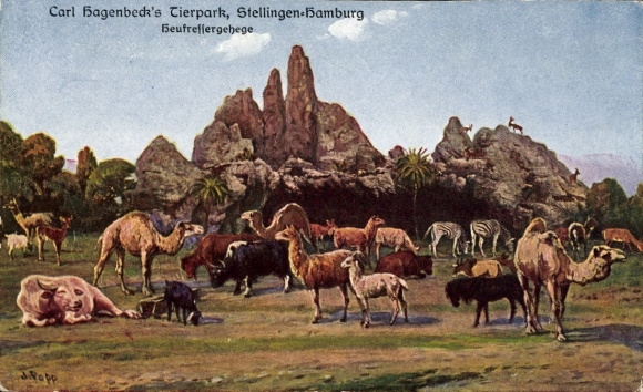 Künstler Ak Popp, J., Hamburg Eimsbüttel Stellingen, Carl Hagenbeck's Tierpark, Heufressergehege