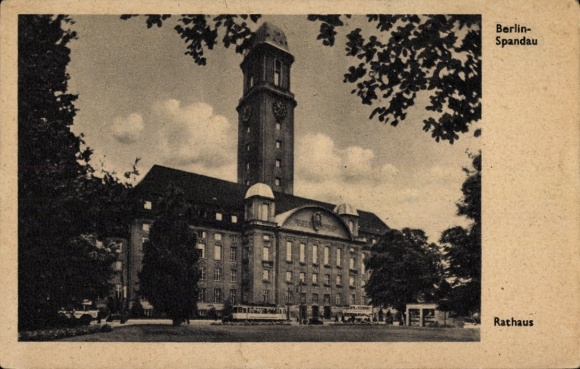 Ak Berlin Spandau, Rathaus, Busse, Uhrturm, Wiese